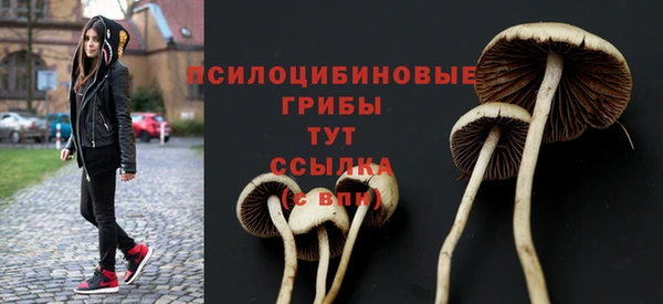 твердый Гусиноозёрск