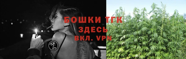 mdpv Гусев