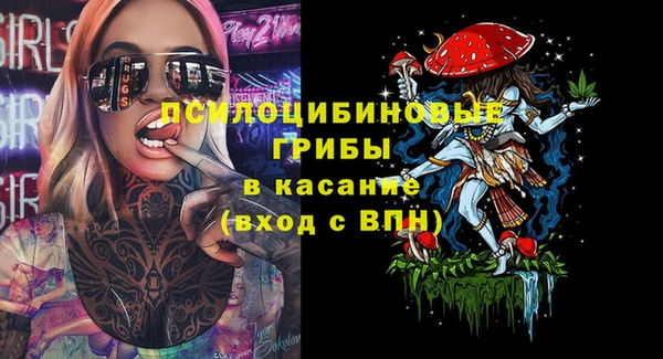 mdpv Гусев