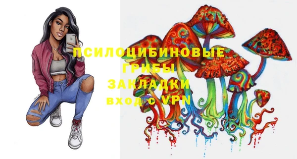 mdpv Гусев