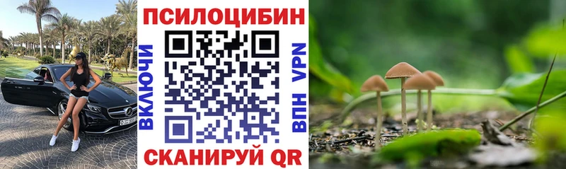 Псилоцибиновые грибы прущие грибы Купить Пыть-Ях